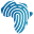 Kernel Afrika logo